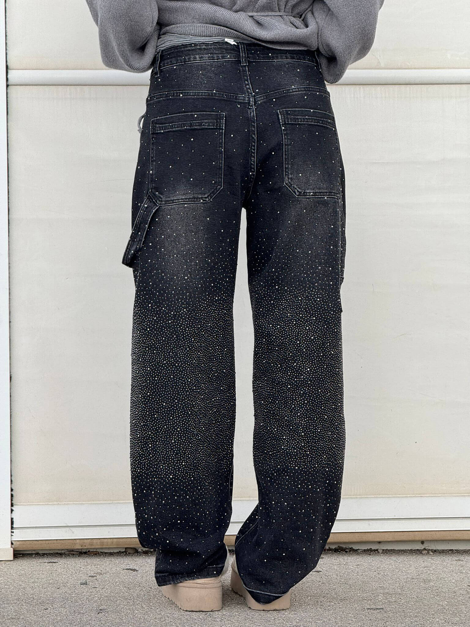 Stylotica | Carpenter Shine Jeans