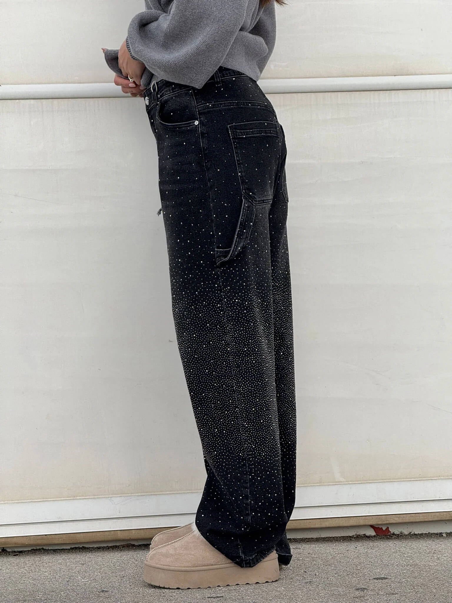 Stylotica | Carpenter Shine Jeans